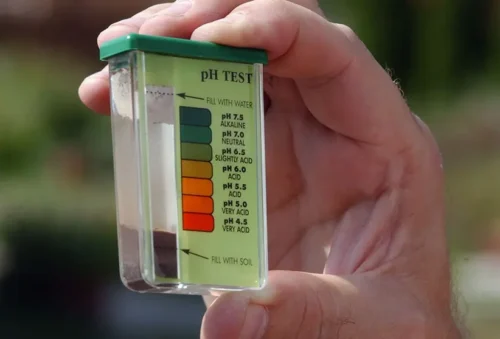 ¿Es importante agitar las muestras antes de medir el pH?