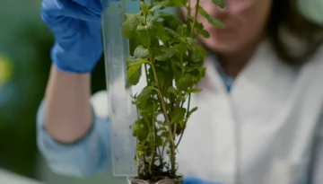 Cómo medir el pH de la tierra